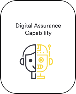 Digital Assurance Capability
